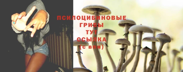 гидропоника Арсеньев