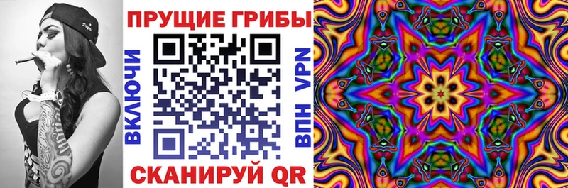 Галлюциногенные грибы ЛСД  продажа наркотиков  Новоаннинский 