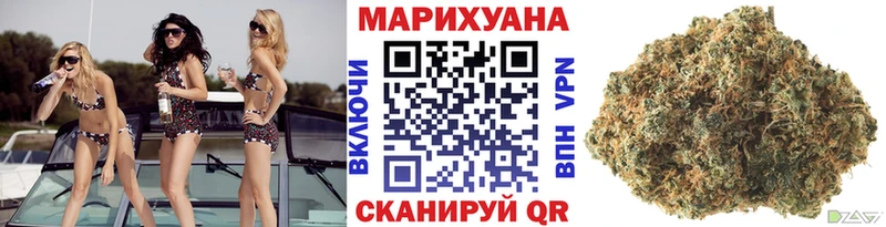 Марихуана индика гидра вход Новоаннинский как найти наркотики